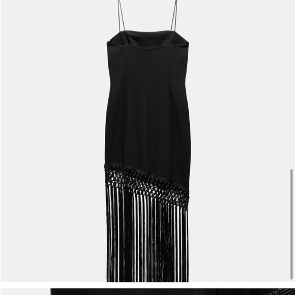 NWT ZARA VIRAL 2025 COLLECTION FRINGED DRESS SIZE M
🚨FIRM PRICE NO DISCOUNT - Picture 10 of 14